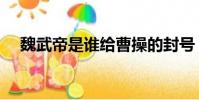 魏武帝是誰給曹操的封號(魏武帝是誰)