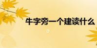 牛字旁一個建讀什么(牛字旁)