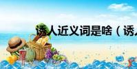 誘人近義詞是啥(誘人近義詞)