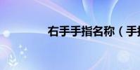 右手手指名稱(手指名稱)