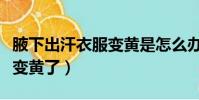 腋下出汗衣服變黃是怎么辦(腋下出汗衣服就變黃了)