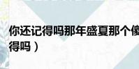 你還記得嗎那年盛夏那個傻瓜什么歌(你還記得嗎)