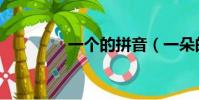 一個的拼音(一朵的拼音)