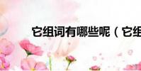 它組詞有哪些呢(它組詞有哪些)