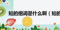 短的組詞是什么啊(短的組詞是什么)