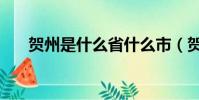 賀州是什么省什么市(賀州是那個省)