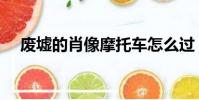 廢墟的肖像摩托車怎么過(廢墟的肖像)
