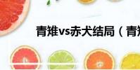 青雉vs赤犬結局(青雉vs赤犬)