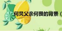 何炅父親何畏的背景(何炅父親)