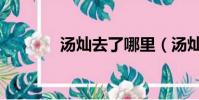 湯燦去了哪里(湯燦怎么了)