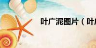 葉廣泥圖片(葉廣泥)