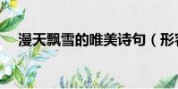 漫天飄雪的唯美詩句(形容雪大的成語)