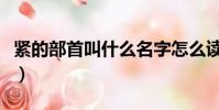 緊的部首叫什么名字怎么讀(緊的部首叫什么)