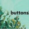 buttons歌詞翻譯（buttons歌詞）