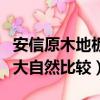 安信原木地板與大自然原木比較（安信地板與大自然比較）