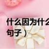 什么因為什么寫句子怎么寫（什么因為什么寫句子）