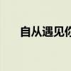 自從遇見你歌詞桌（自從遇見你歌詞）