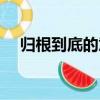 歸根到底的意思解釋（歸根結底的意思）