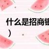 什么是招商銀行網銀專業版（什么是招商銀行）