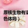 原核生物有染色體嗎高中生物（原核生物有染色體嗎）