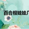 百合根娃娃幾級進化比較好（百合根娃娃）
