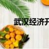 武漢經濟開發區是哪個區（武漢經濟）