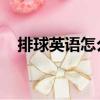 排球英語怎么讀 單詞（排球英語怎么讀）