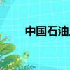 中國石油上市價格（中國石油上市）