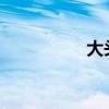 大頭針1999（大頭針）