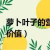 蘿卜葉子的營養價值和功效（蘿卜葉子的營養價值）