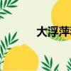 大浮萍和浮萍的區別（大浮萍）