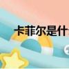 卡菲爾是什么意思（卡菲勒是什么意思）