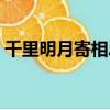 千里明月寄相思歌詞歌曲（千里明月寄相思）