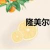 隆美爾電影下載（隆美爾電影）