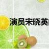 演員宋曉英的主演電視劇（宋曉英演員）