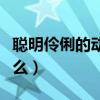 聰明伶俐的動物猜一肖（聰明伶俐的動物是什么）