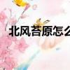 北風苔原怎么去考達拉（北風苔原怎么去）