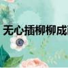 無心插柳柳成蔭的近義詞（無心插柳柳成蔭）