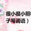 很小很小照樣子寫詞語ABB（很小很小照樣子寫詞語）