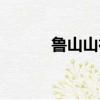 魯山山行的意思（山行的意思）