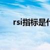 rsi指標是什么意思（指標是什么意思）