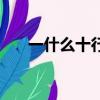 一什么十行的四字詞語（一什么十行）