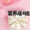 愛養成4結局閑魚人生（愛養成4結局）