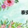 泰安小吃街（泰安小吃）