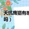天坑鷹獵有感情戲嗎視頻（天坑鷹獵有感情戲嗎）
