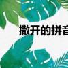 撒開的拼音怎么寫的拼（撒開的拼音）
