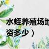 水蛭養殖場地每平米投放多少（養水蛭一畝投資多少）