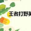王者打野英雄排行榜（王者打野英雄）