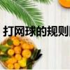 打網球的規則圖解（打網球的基本動作圖解）