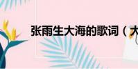 張雨生大海的歌詞(大海的歌詞)